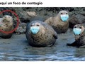 La tontería del día - para mas chistes: Click aqui