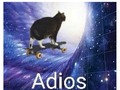 Ya volverá al cabo de un rato… - para mas chistes: Click aqui
