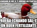 También sirve para las patatas - para mas chistes: Click aqui