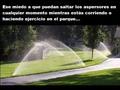 Eso sólo lo saben los que hacen deporte al aire libre en parques o lugares similares… - para mas chistes: Click aqui