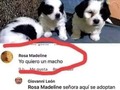 Ahí no cumplirán sus deseos - para mas chistes: Click aqui