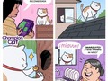 Esos gatos traviesos - para mas chistes: Click aqui
