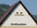 ¿Será la casa de los pingüinos? - para mas chistes: Click aqui