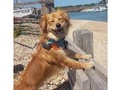 Imágenes nominadas a la fotografía ‘animal’ del año [Parte 2] - para mas chistes: Click aqui
