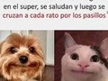 Momentos incómodos - para mas chistes: Click aqui
