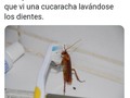 Más limpia que muchos - para mas chistes: Click aqui