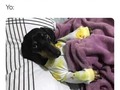 Pues no tenía pensado… - para mas chistes: Click aqui