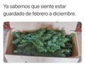 Así se siente el pobre árbolito - para mas chistes: Click aqui
