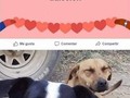 ¿Es esto lo que buscas? - para mas chistes: Click aqui