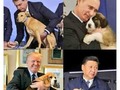 Adivina en qué cultura comen animales raros - para mas chistes: Click aqui