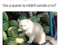 ¿La quieres o no? - para mas chistes: Click aqui