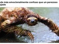 ¿Pero qué diablos…? - para mas chistes: Click aqui