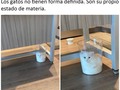 líquido,sólido,gaseoso y gatoso - para mas chistes: Click aqui