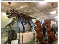 Dános un dinoconsejo - para mas chistes: Click aqui