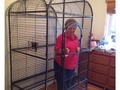 Mientras tanto, en la próxima comida navideña - para mas chistes: Click aqui