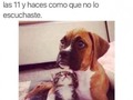Cariño, ¿qué ha sido eso? - para mas chistes: Click aqui