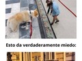 Imágenes que no son lo que parecen a primera vista - para mas chistes: Click aqui