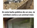 Diseñadores que nunca debieron dedicarse a ello - para mas chistes: Click aqui