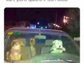 Ojalá fueran mis compañeros de viaje - para mas chistes: Click aqui
