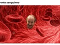La tontería del día - para mas chistes: Click aqui