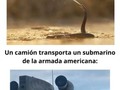 Imágenes que no se ven todos los días - para mas chistes: Click aqui