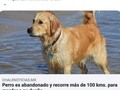 Rencoroso como un perro - para mas chistes: Click aqui