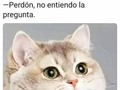 ¿Pizza que qué? - para mas chistes: Click aqui