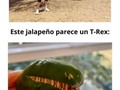 Personas que encontraron cosas que son una en un millón - para mas chistes: Click aqui