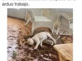 No me sentao’ en todo el día… - para mas chistes: Click aqui
