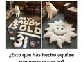 ¿Qué hacer con el pelo que le cortas a tu perro? - para mas chistes: Click aqui