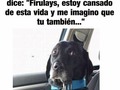 Humano, a mí no me metas - para mas chistes: Click aqui