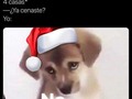 Días de estómago - para mas chistes: Click aqui
