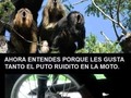 Dedicado a los de las motos ruidosas - para mas chistes: Click aqui