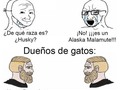 Raza gatuna - para mas chistes: Click aqui