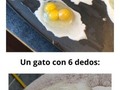 Personas que encontraron cosas que son una en un millón - para mas chistes: Click aqui