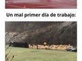 Personas que están teniendo un día peor que el tuyo - para mas chistes: Click aqui