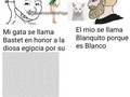 Y no hay más - para mas chistes: Click aqui