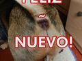 Quien entendió, entendió - para mas chistes: Click aqui