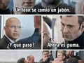 Capitán América y el león espumoso - para mas chistes: Click aqui