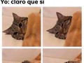 Entre sueñecito y sueñecito - para mas chistes: Click aqui