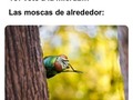 Eso suena muy bien… - para mas chistes: Click aqui