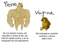 Hay partes más delicadas que otras - para mas chistes: Click aqui
