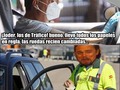 Sí… todo en regla… - para mas chistes: Click aqui
