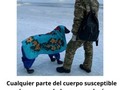 Imágenes impactantes del frío que hace en Rusia - para mas chistes: Click aqui