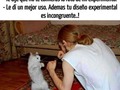 Las peleas que tengo con mi gato - para mas chistes: Click aqui