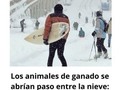Las mejores imágenes que ha dejado el temporal Filomena en España - para mas chistes: Click aqui