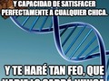 Nadie lo sabrá nunca - para mas chistes: Click aqui