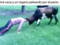 ¡Ese verde es mío! - para mas chistes: Click aqui