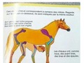 ¿A quién se le ocurrió una ilustración así? - para mas chistes: Click aqui