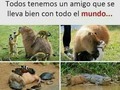 El amigo de todos - para mas chistes: Click aqui